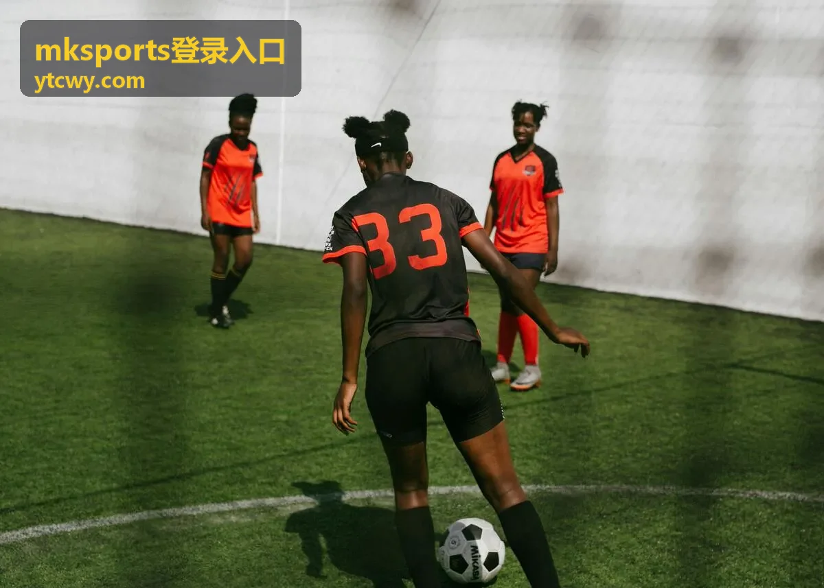 mksports登录入口通道核对示意