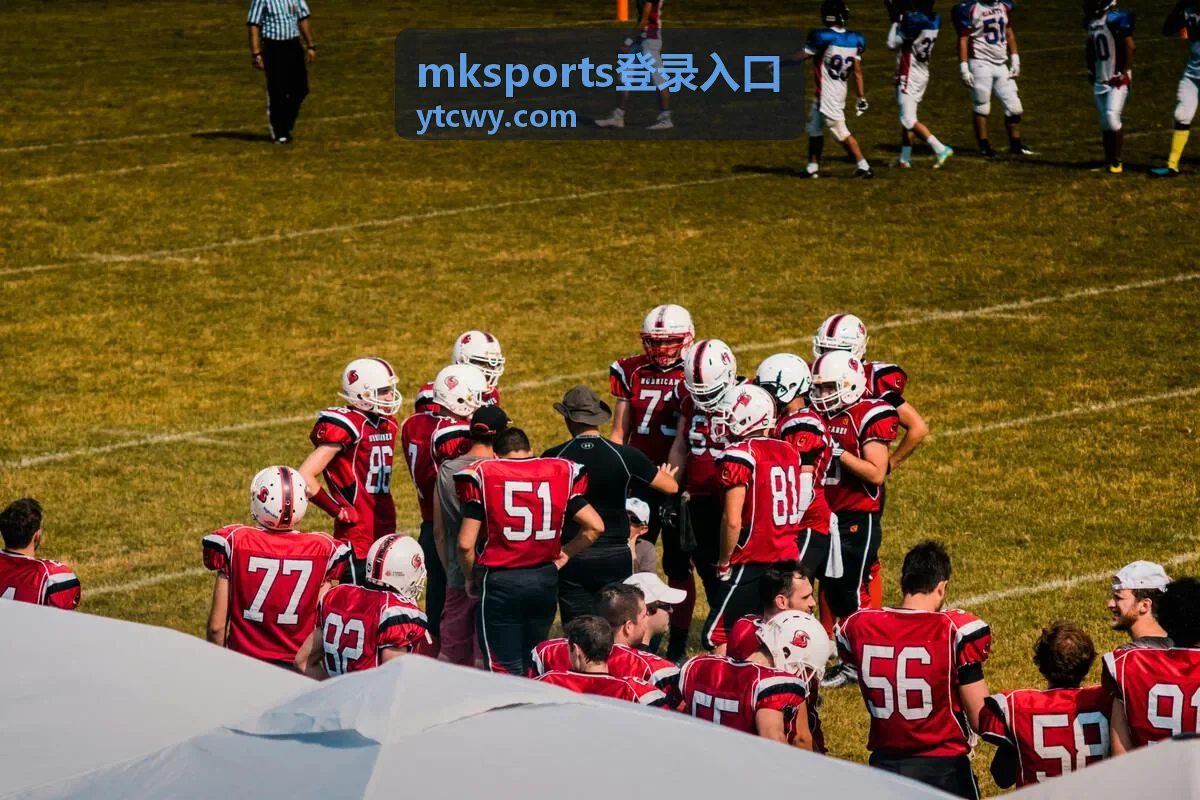 mksports登录入口密码错误处理